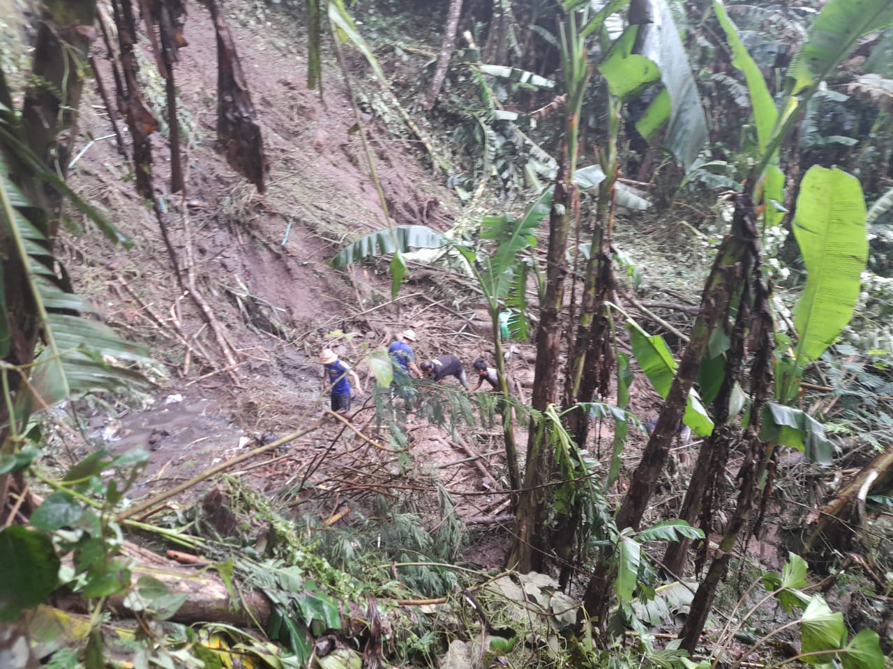Pascalongsor Kabupaten Gianyar, Tim Gabungan Masih Lakukan Operasi Pencarian Satu Warga
