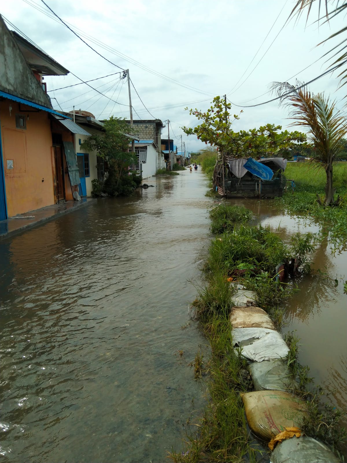 Banjir Merendam 59 Rumah di Kabupaten Jayapura, Kini Mulai Berangsur Surut