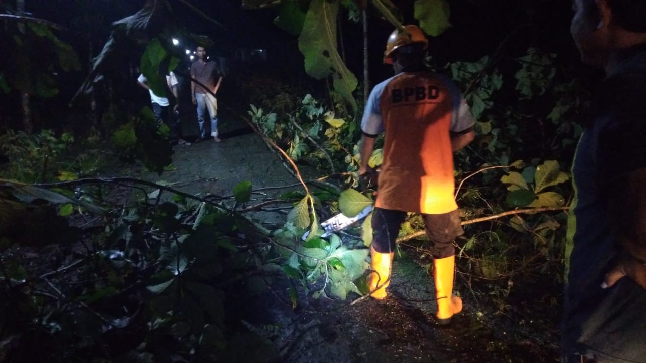 Angin Kencang di Sragen Sebabkan 34 Rumah Rusak Ringan dan Pohon Tumbang
