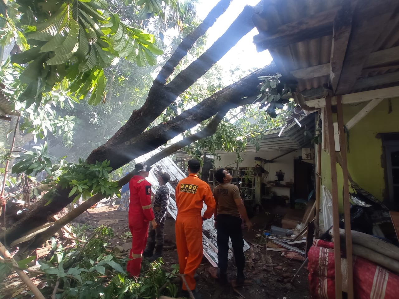Rumah Warga Kota Bogor dan Tempat Usaha Rusak Akibat Angin Kencang