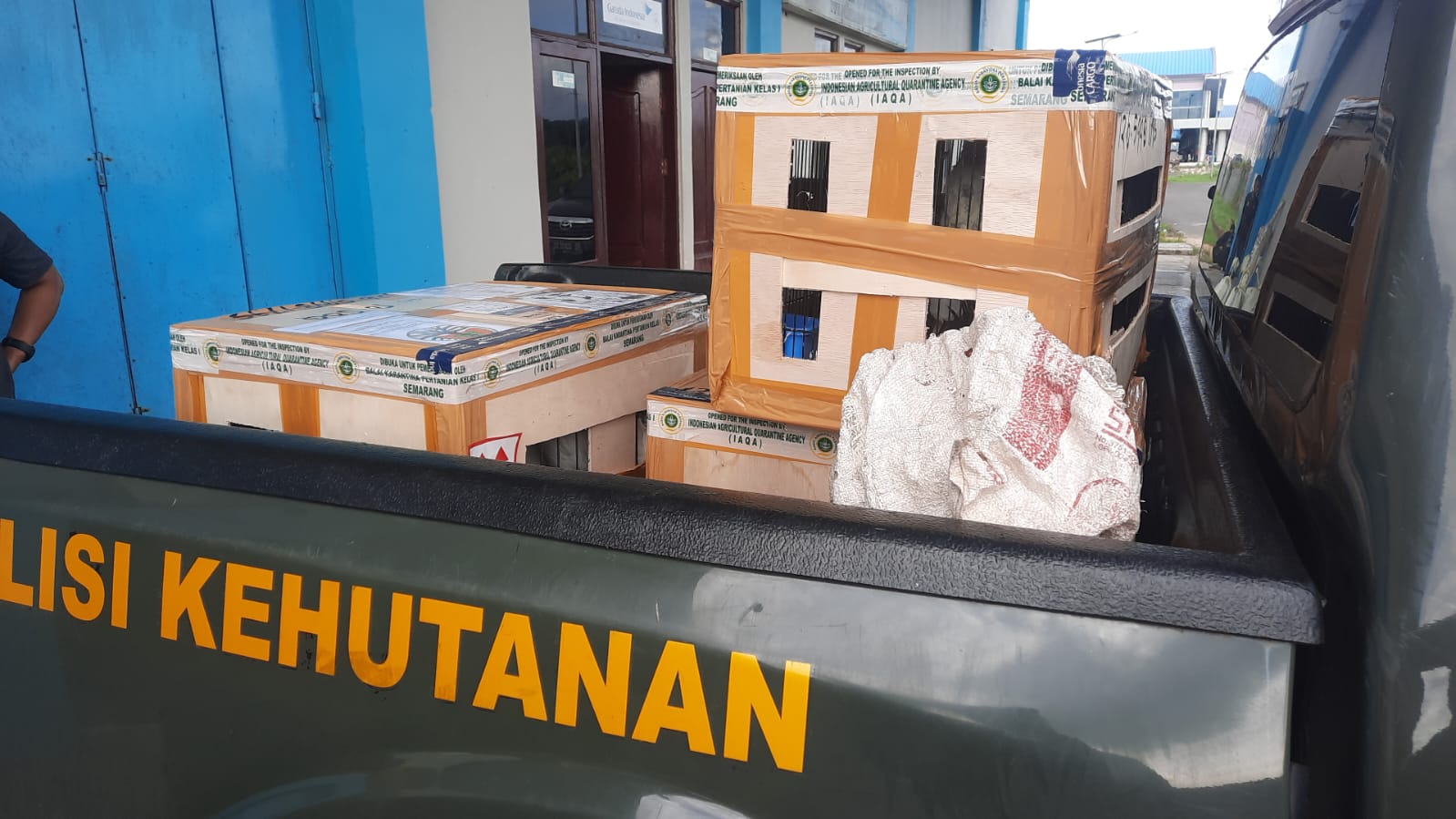 BKSDA Jateng Translokasi Sepuluh Satwa Endemik Asal Papua Barat