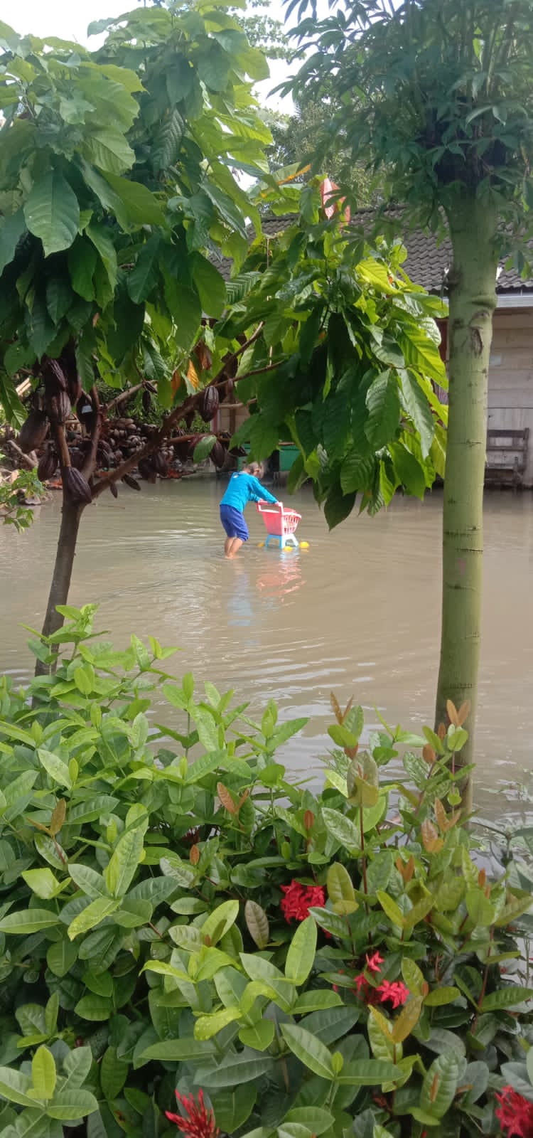 BPBD Lakukan Upaya Penanganan Banjir di Maybrat, Papua Barat