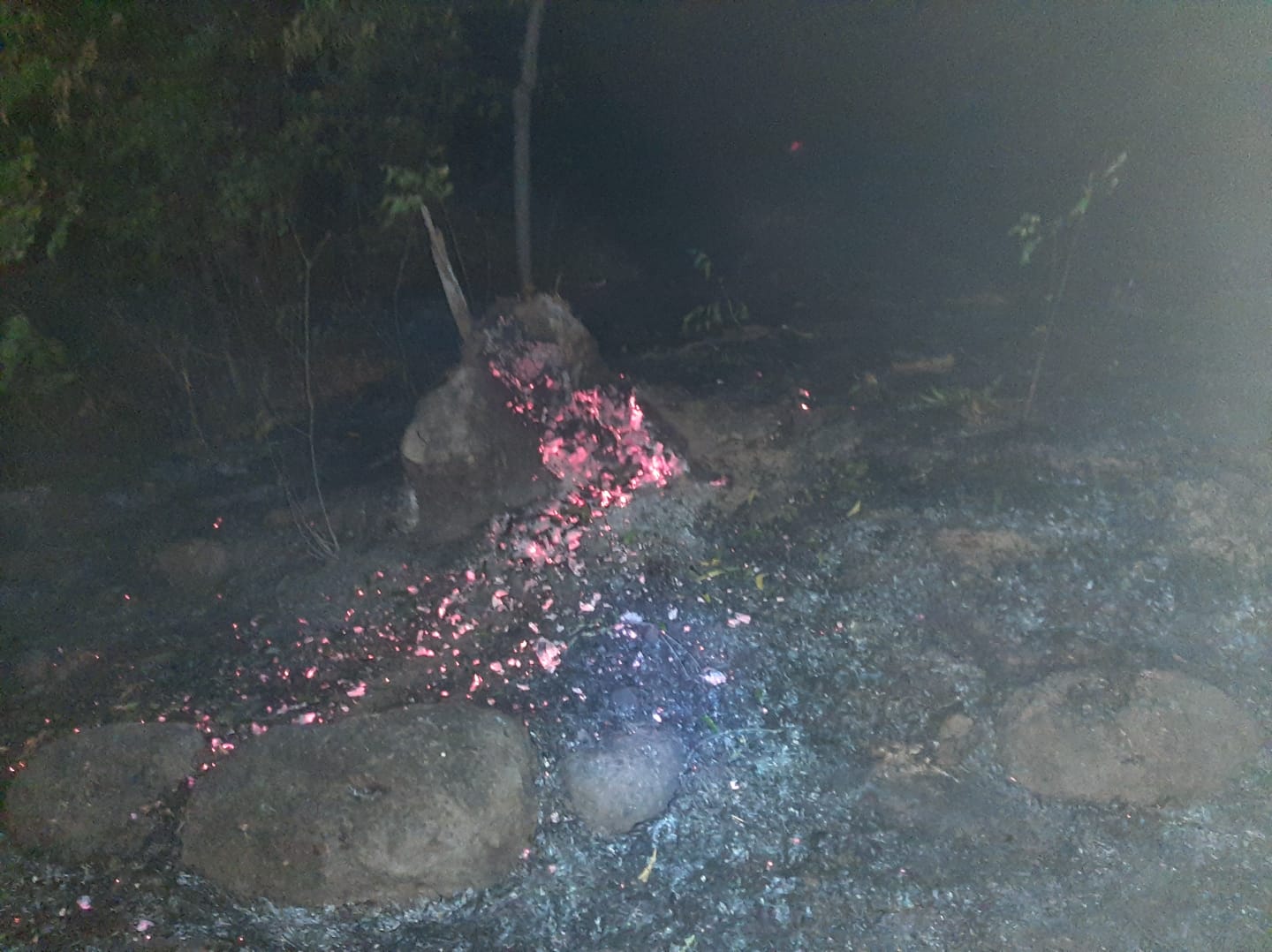 Kebakaran Seluas 1 Hektar di Kabupaten Situbondo Berhasil Dipadamkan