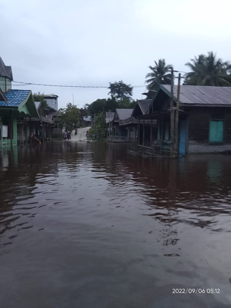 Curah Hujan Tinggi, Dua Kabupaten Wilayah Kalimantan Tengah Dilanda Banjir