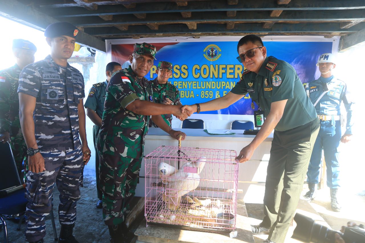Penyelamatan Satwa Liar Dilindungi Hasil Penyelundupan