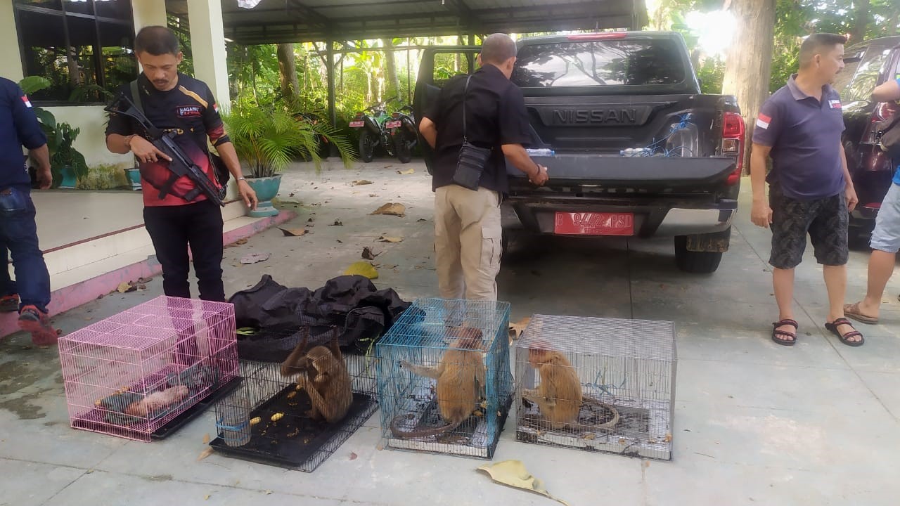 Tersangka Penyelundupan Satwa Liar Dilindungi Segera Diserahkan ke Kejati Gorontalo