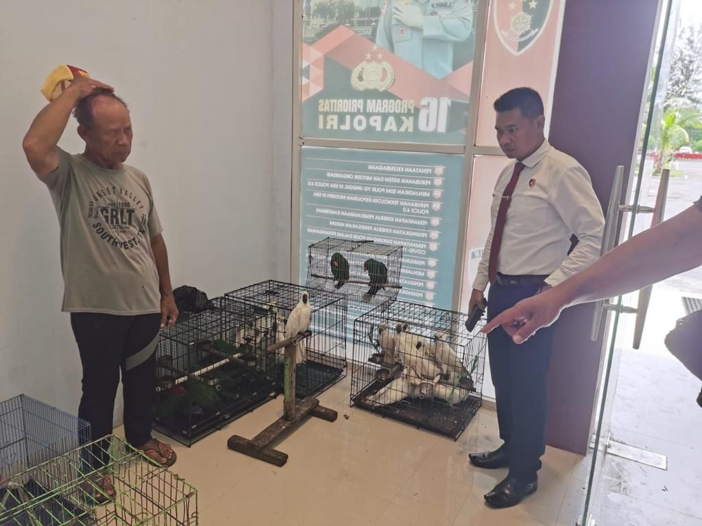 Melalui Operasi Senyap, BKSDA Maluku Berhasil Mengamankan 91 Ekor Satwa Liar Dilindungi