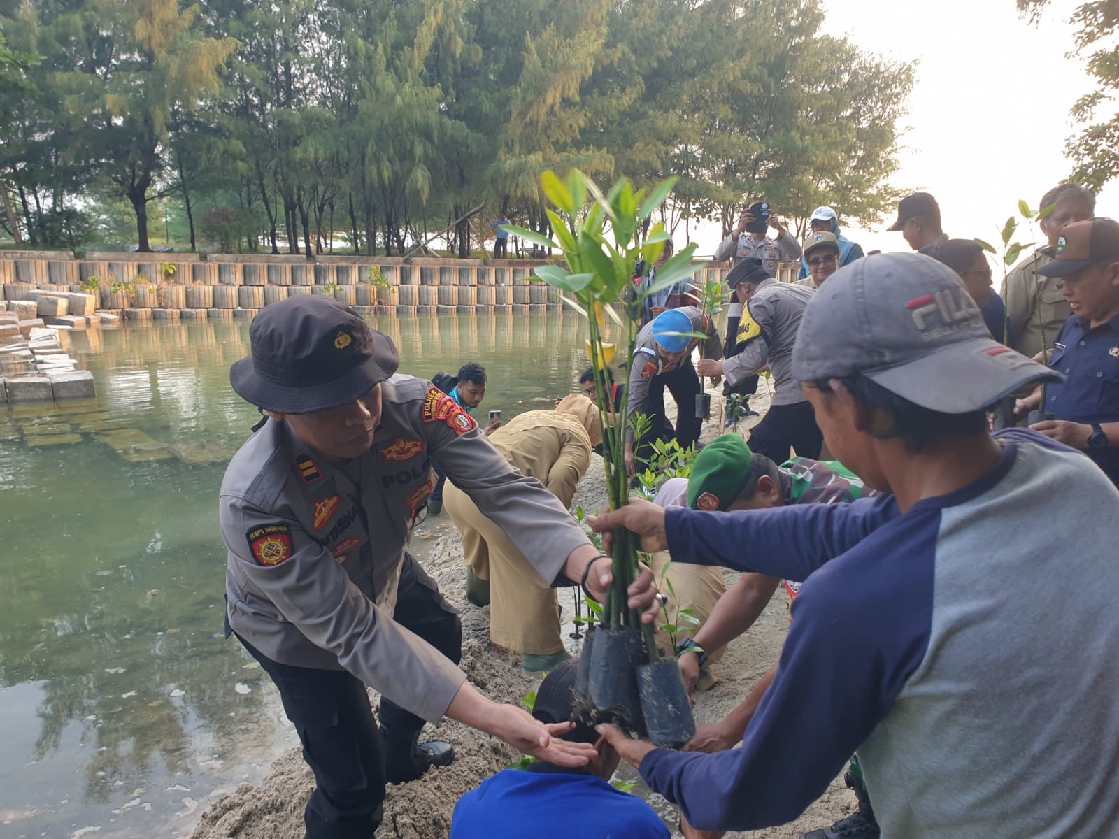 Polsek Kepulauan Seribu Selatan Ikut Serta Melakukan Penanaman Mangrove Nasional