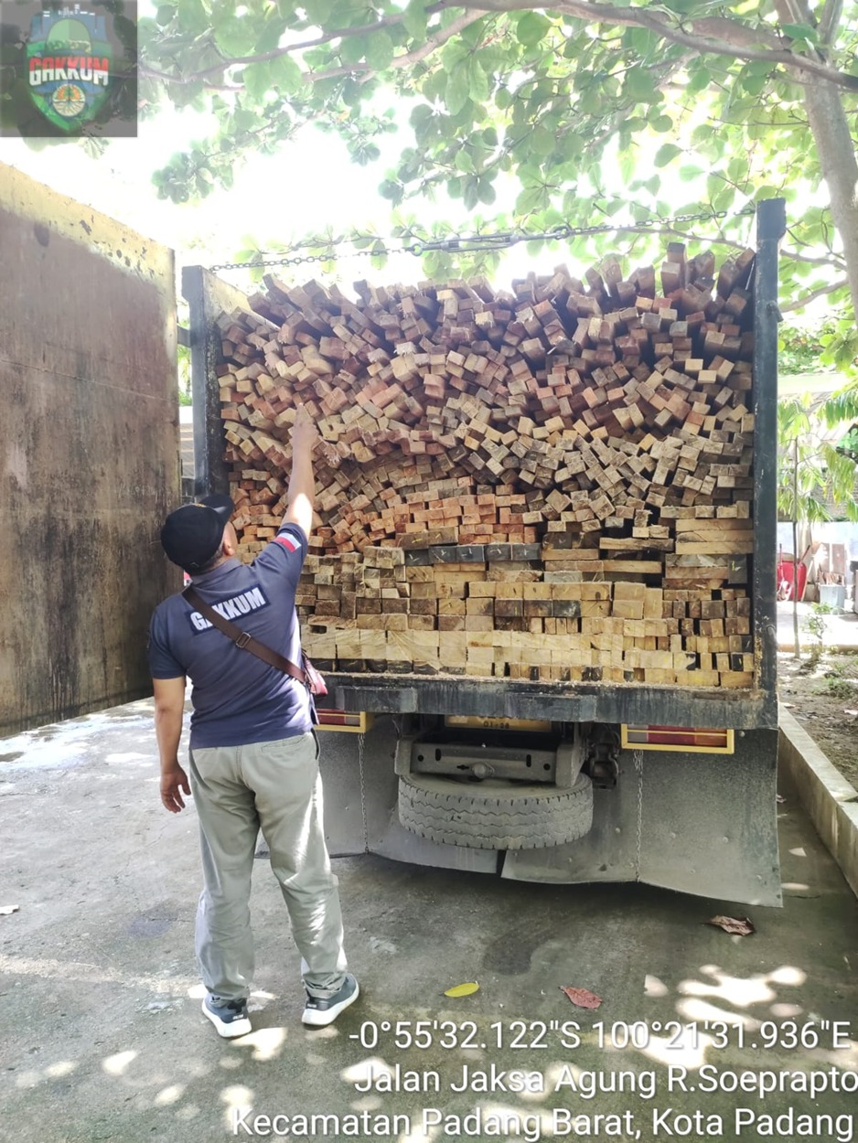 Gakkum KLHK Tangkap Pelaku Illegal Logging di Sumatera Barat