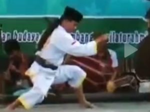 Pencak Silat