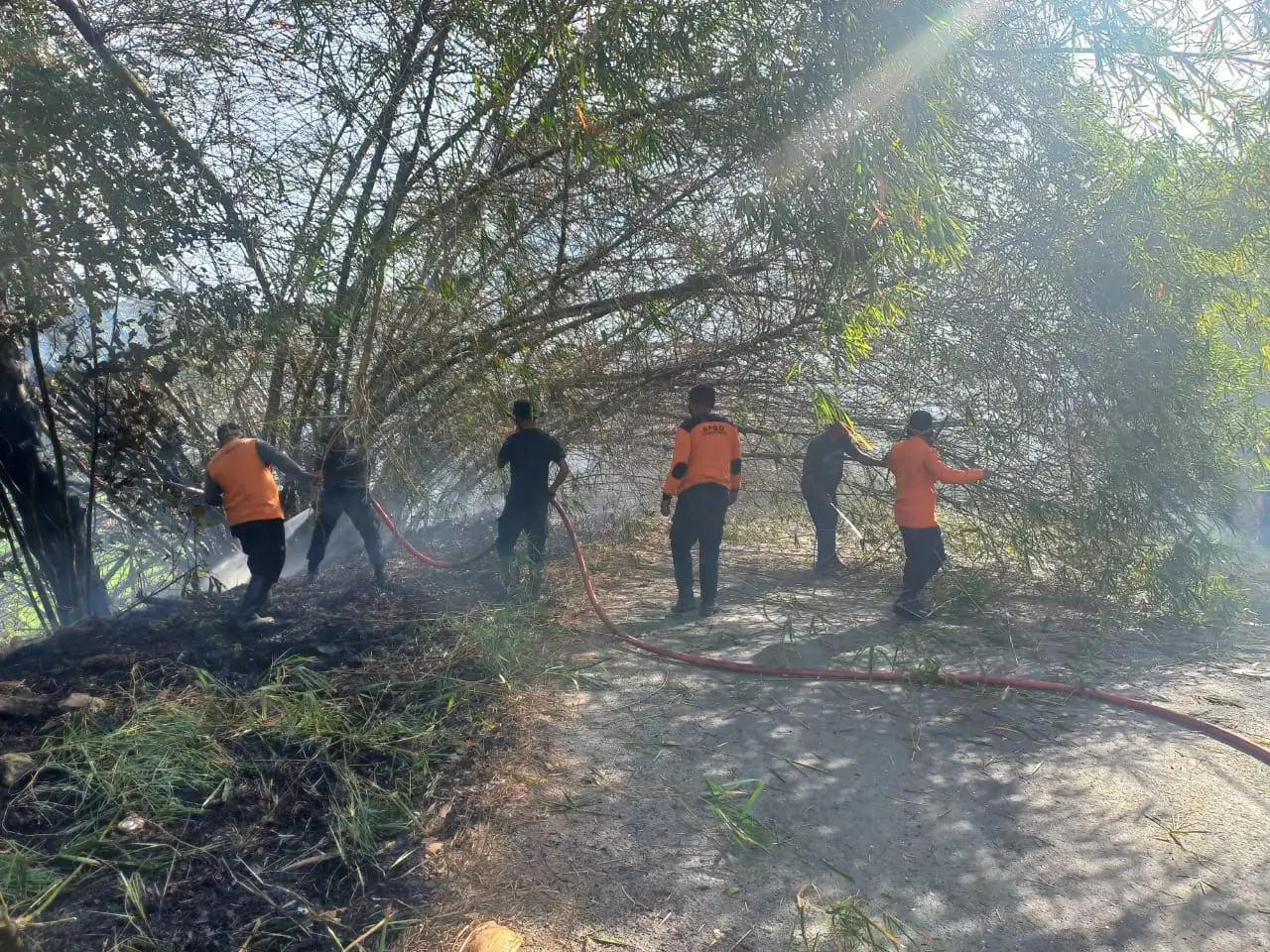 Tangani Karhutla di Riau, BNPB Laksanakan Operasi Modifikasi Cuaca