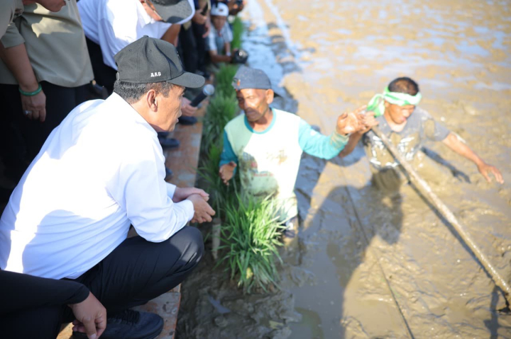 Atasi Sawah Dampak Pascabencana Mentan Amran Ungkapkan Padat Karya Kunci Pemulihan Pertanian, Petani Dilibatkan Langsung