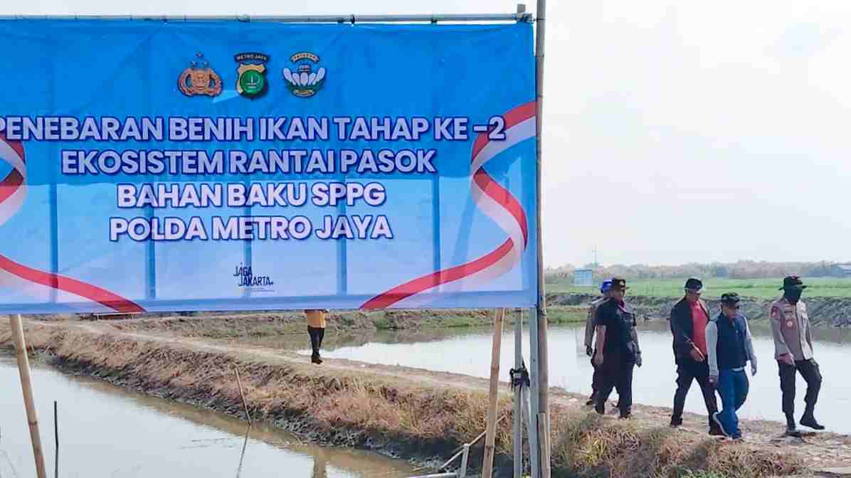 Ditpolairud Polda Metro Jaya Tebar 300 Ribu Benih Udang Windu di Muaragembong Bekasi