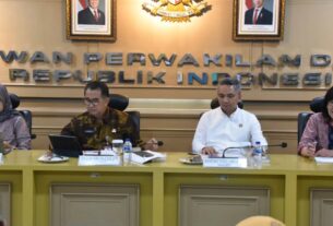 BRIN-DPD RI Soroti Reformulasi Desain Desentralisasi untuk Pemerintahan
