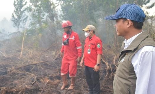 Tinjau Guntung Damar, Menhut Raja Antoni : Pelaku Karhutla Ditindak Tanpa Pandang Bulu