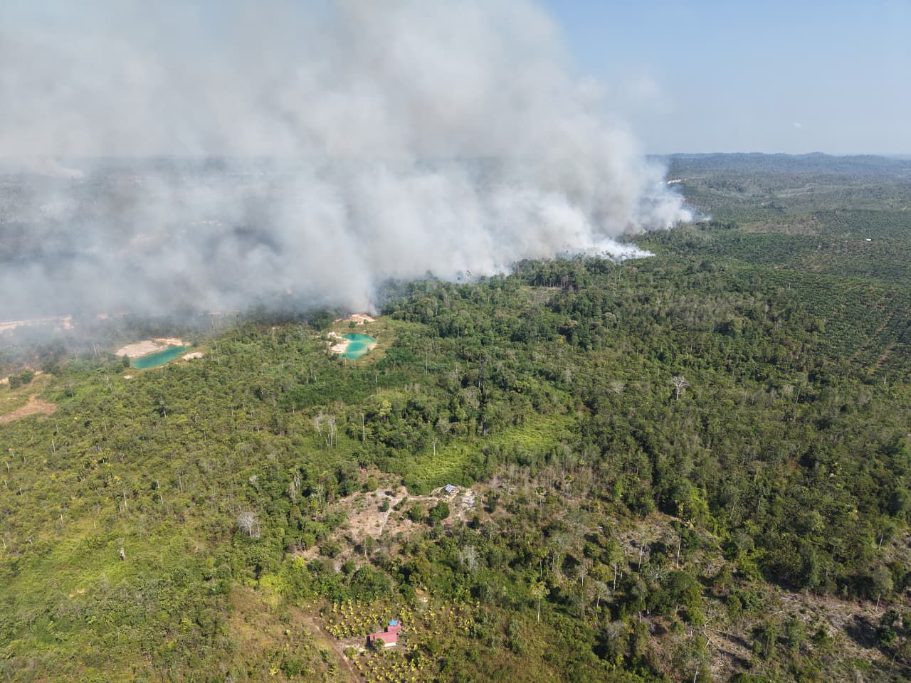 Respons Cepat Karhutla Dekat IKN, TNI Gerakkan Helikopter Caracal untuk Water Bombing