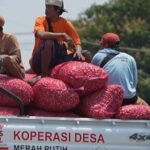 Berdayakan Ekonomi Desa, KDKMP di Nganjuk Serap Bawang Petani di Atas Harga Pasar